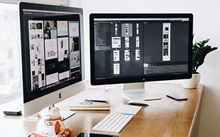 九游体育注册-球星宠物曝光：有明星范的狗狗的简单介绍